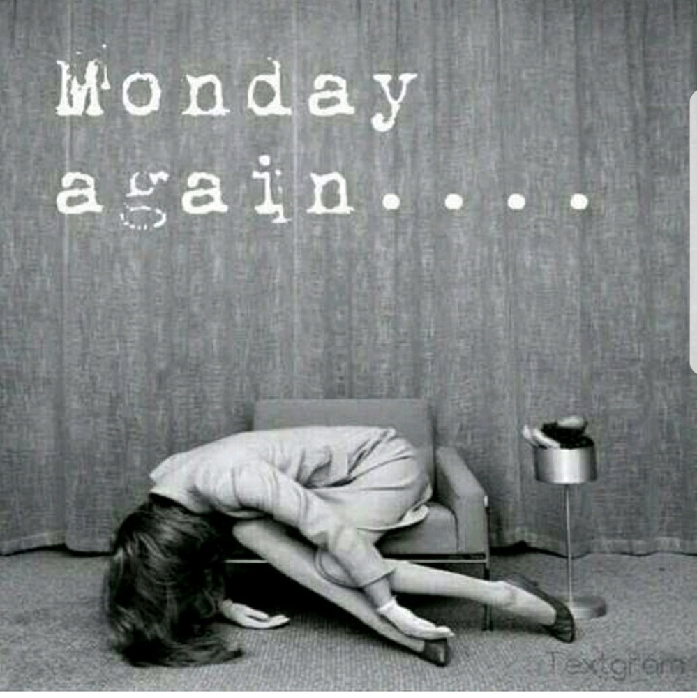 Meet your Posher, Karissa