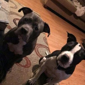 Meet your Posher, Tammy