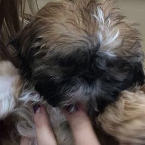 Meet your Posher, Lexi