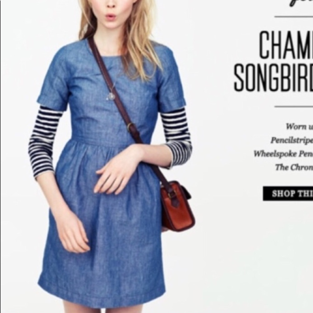 Classic Songbird Dress from Madewell