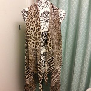 Beautiful Shaw cheetah