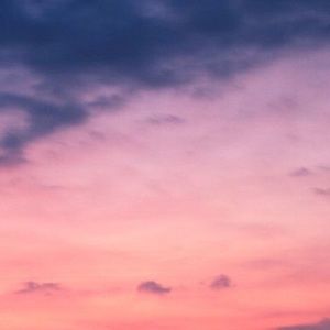 Meet your Posher, Judy