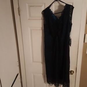 Lane Bryant Size 16 Dress