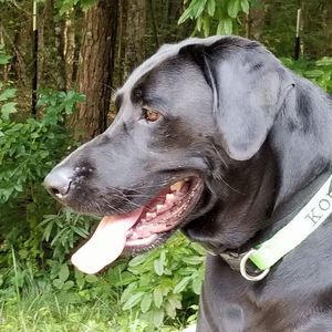 Meet your Posher, Tara