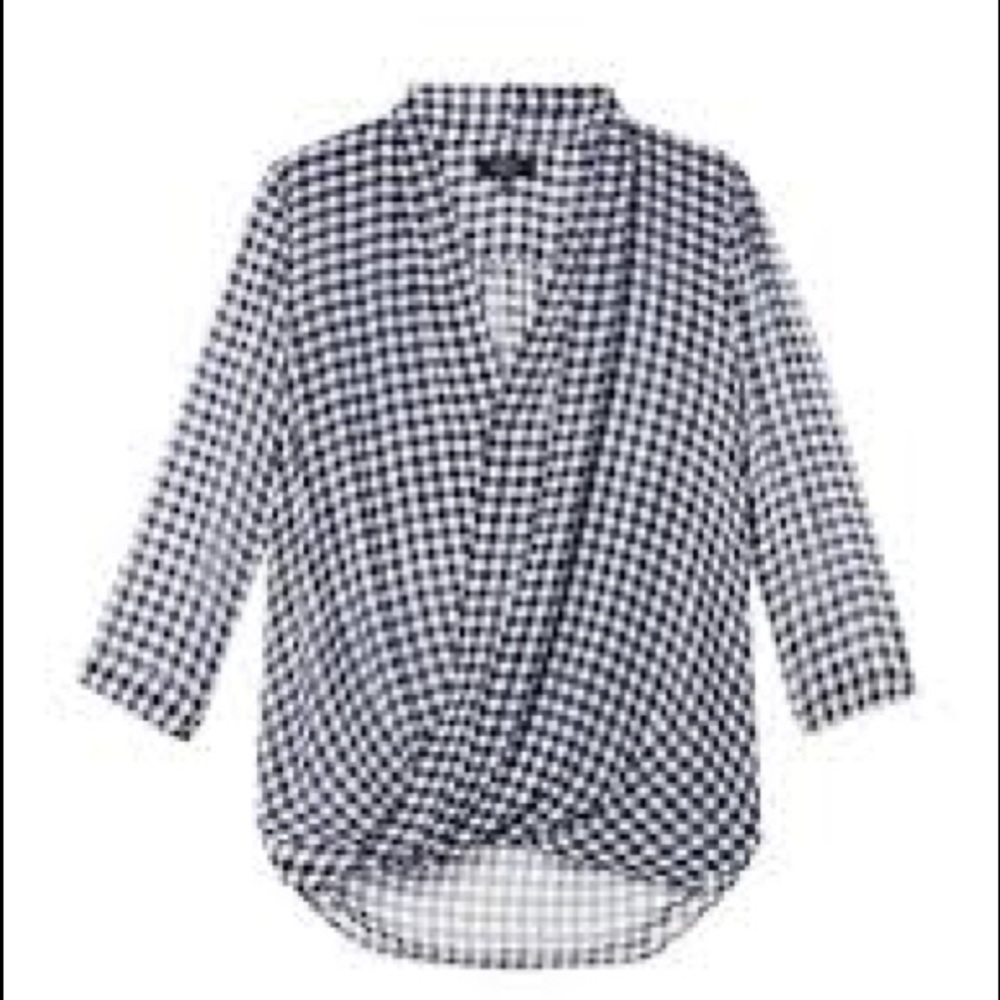 Aritzia Babaton xxs Beau blue gingham silk blouse