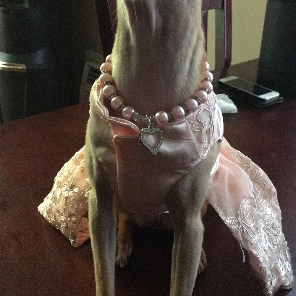 Pink heart dog necklace