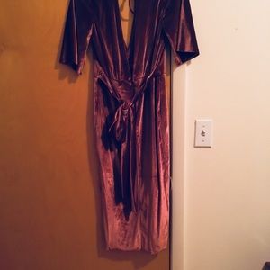 Bec+Bridge Velvet Dress