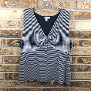NWOT Charter Club V-neck Top
