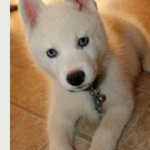 Meet your Posher, Alexandra