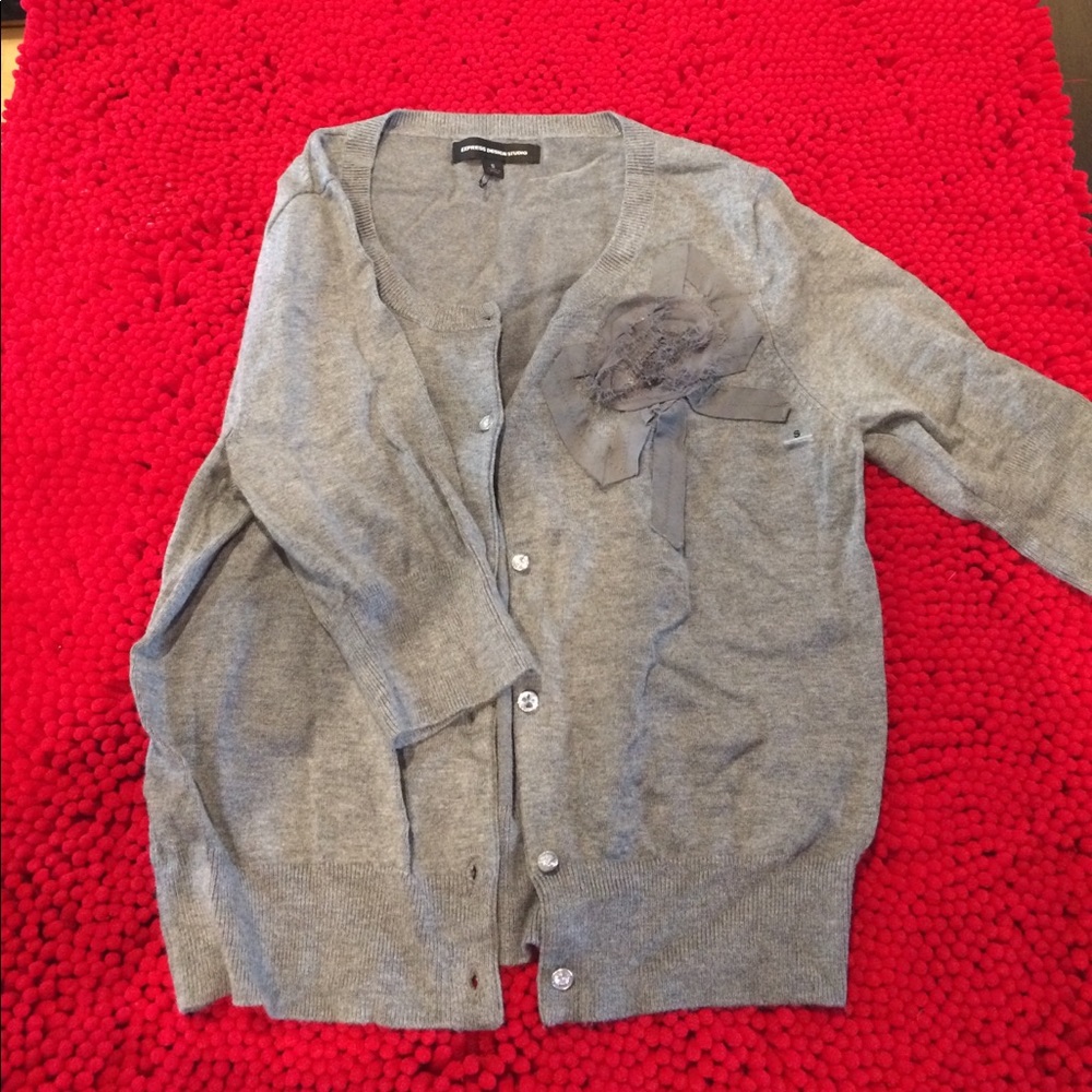 Express short sleeve sweater