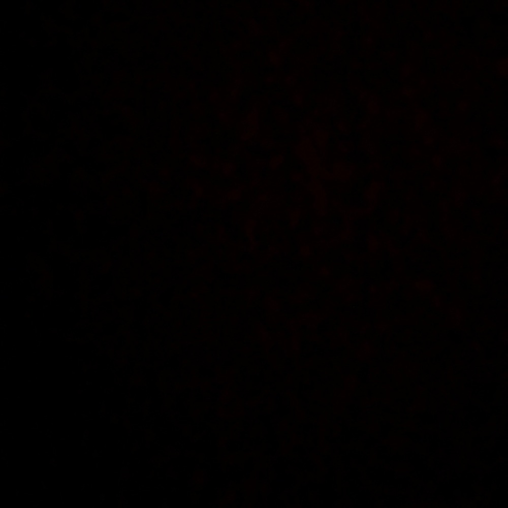 Meet your Posher, Deedee