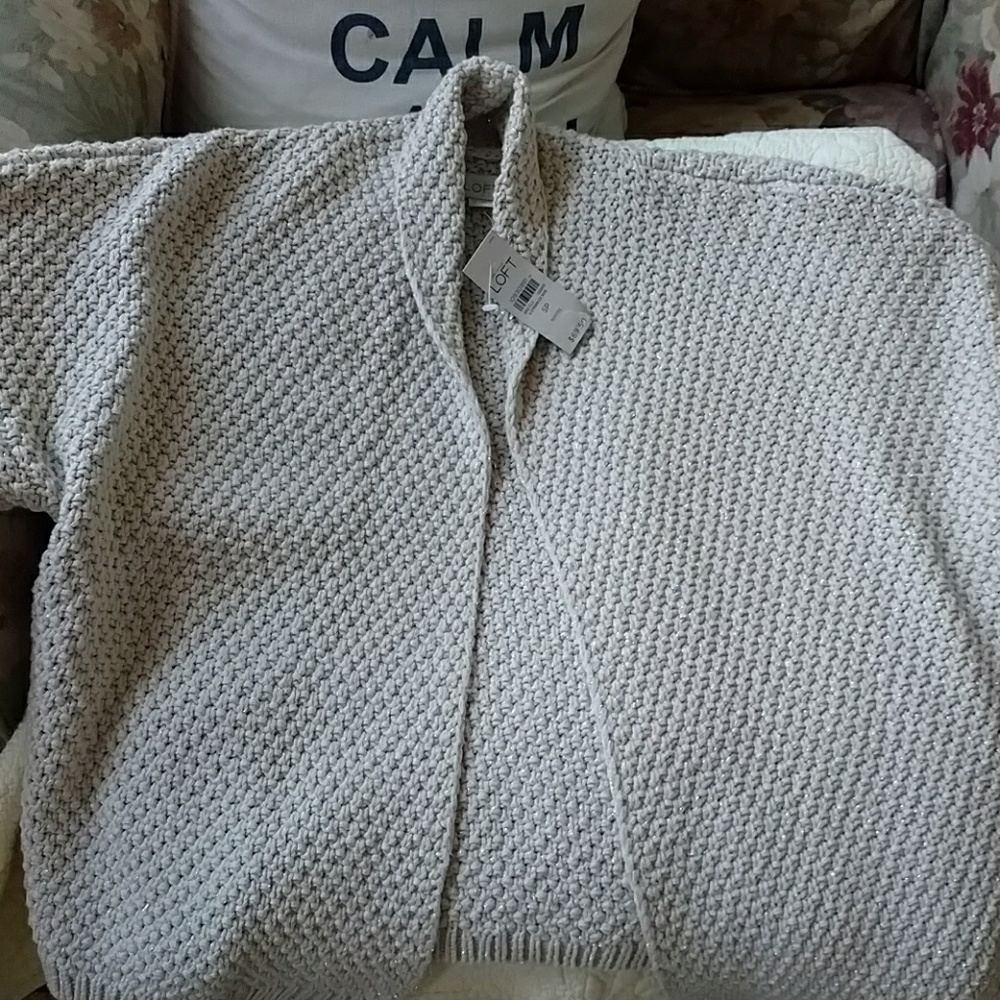 NWT LOFT sweater