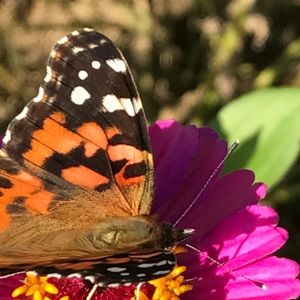 Meet your Posher, Jane