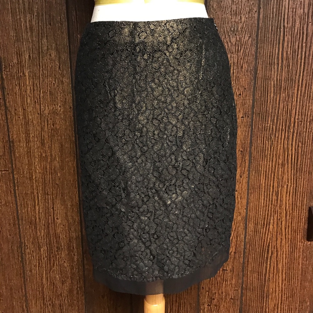 Ann Taylor Skirt