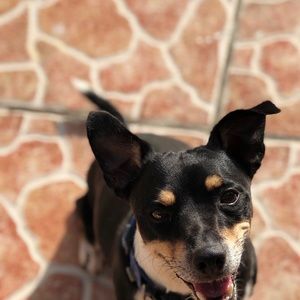 Meet your Posher, Mariam