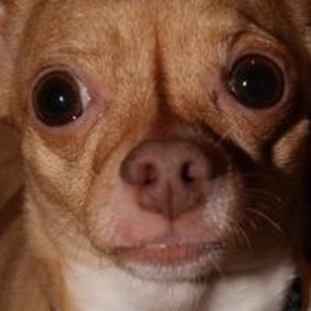 Meet your Posher, Robyn