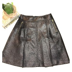 Banana Republic Shiny Circle Skirt