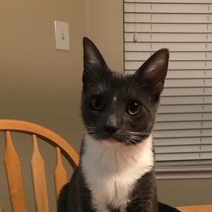 Meet your Posher, Travis