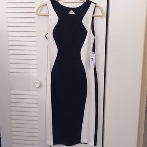 ⬇️NWT Bisou Bisou black/ivory stretch midi dress