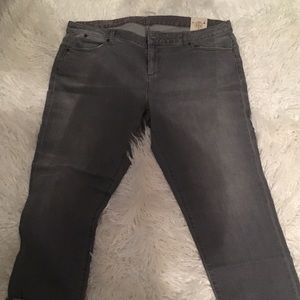 Talbots Ankle Length Jeans Plus Size