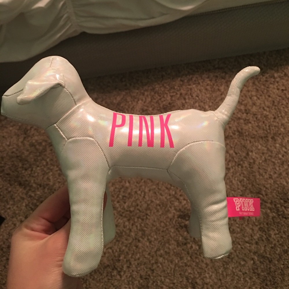 PINK vs dog