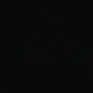 Meet your Posher, Larry