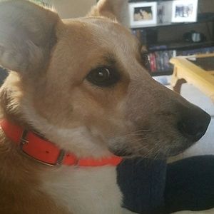 Meet your Posher, Deaven