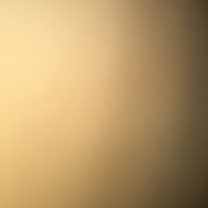 Meet your Posher, Ali