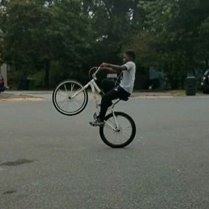 Meet your Posher, Will