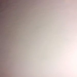 Meet your Posher, Landon