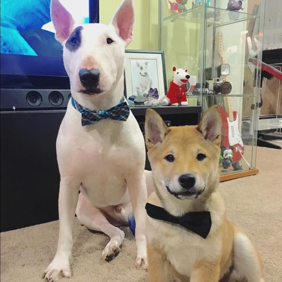 My Intro 😍😘 - Picture 2 of 2