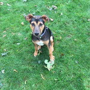 Meet your Posher, Cheri