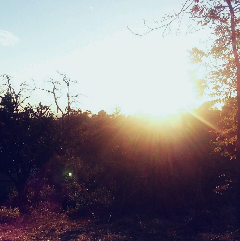 Meet your Posher, Angelica