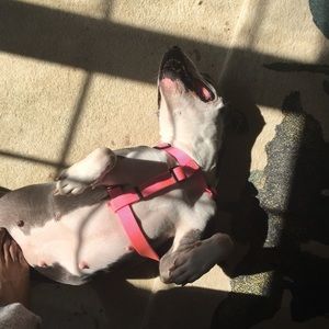 Meet your Posher, Bobby