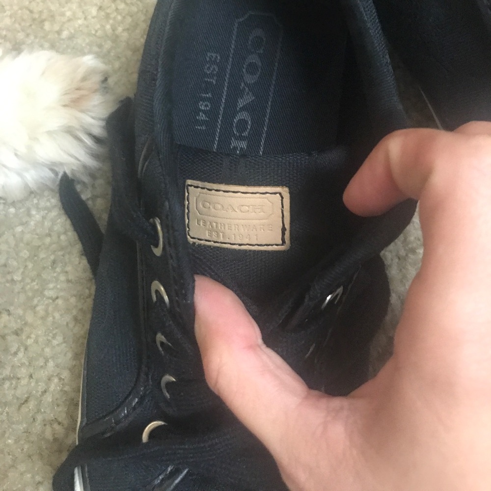 Coach converse - Picture 2 of 4