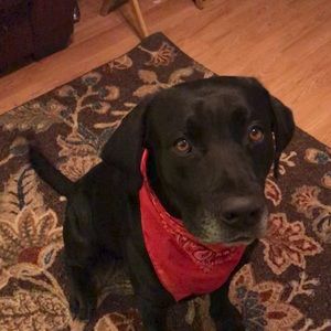 Meet your Posher, Zena