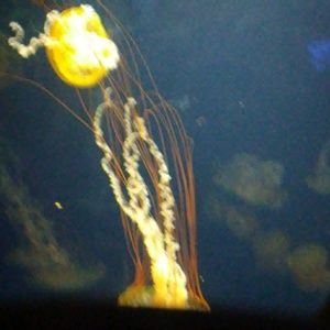 Meet your Posher, Benjamin