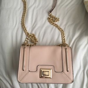 ALDO Pink Gold Chain Purse