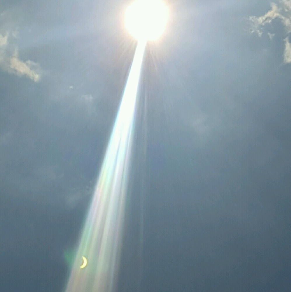 Meet your Posher, Tasha