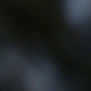 Meet your Posher, Timothy