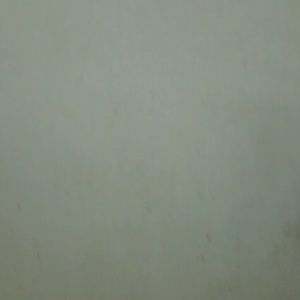 Meet your Posher, Anne