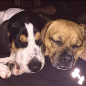 Meet your Posher, Tracy