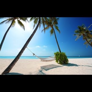 Meet your Posher, Barb