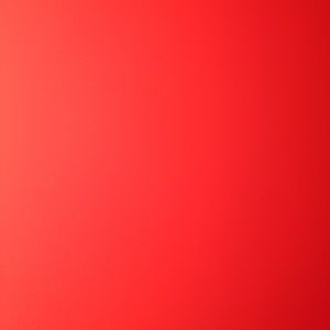 Meet your Posher, Joey