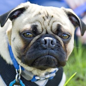 Meet your Posher, Mark