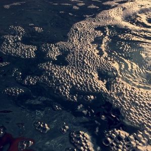 Meet your Posher, Gracie