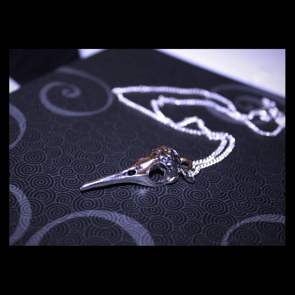 Silver Bird skull necklace