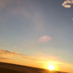 Meet your Posher, Marley