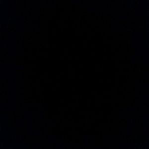 Meet your Posher, Gavin