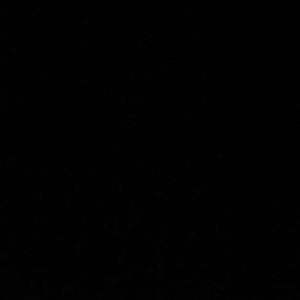 Meet your Posher, Mikey